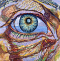 Auge3